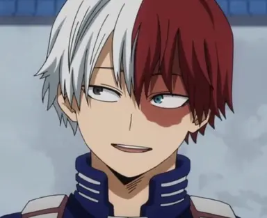 Profile image of Shoto Todoroki