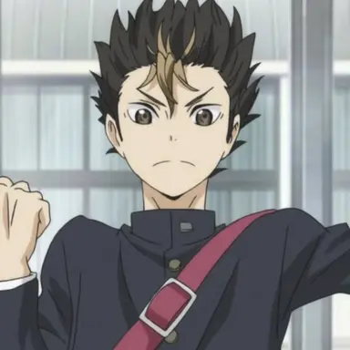 Profile image of Yu Nishinoya