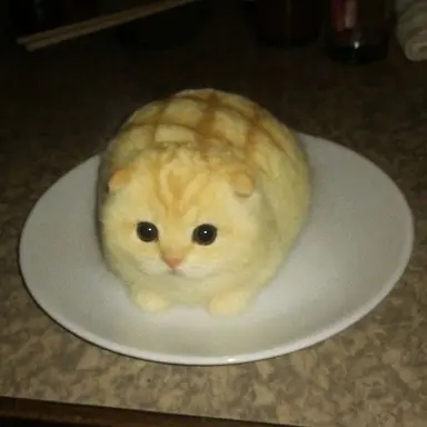 Profile image of 카이쟌