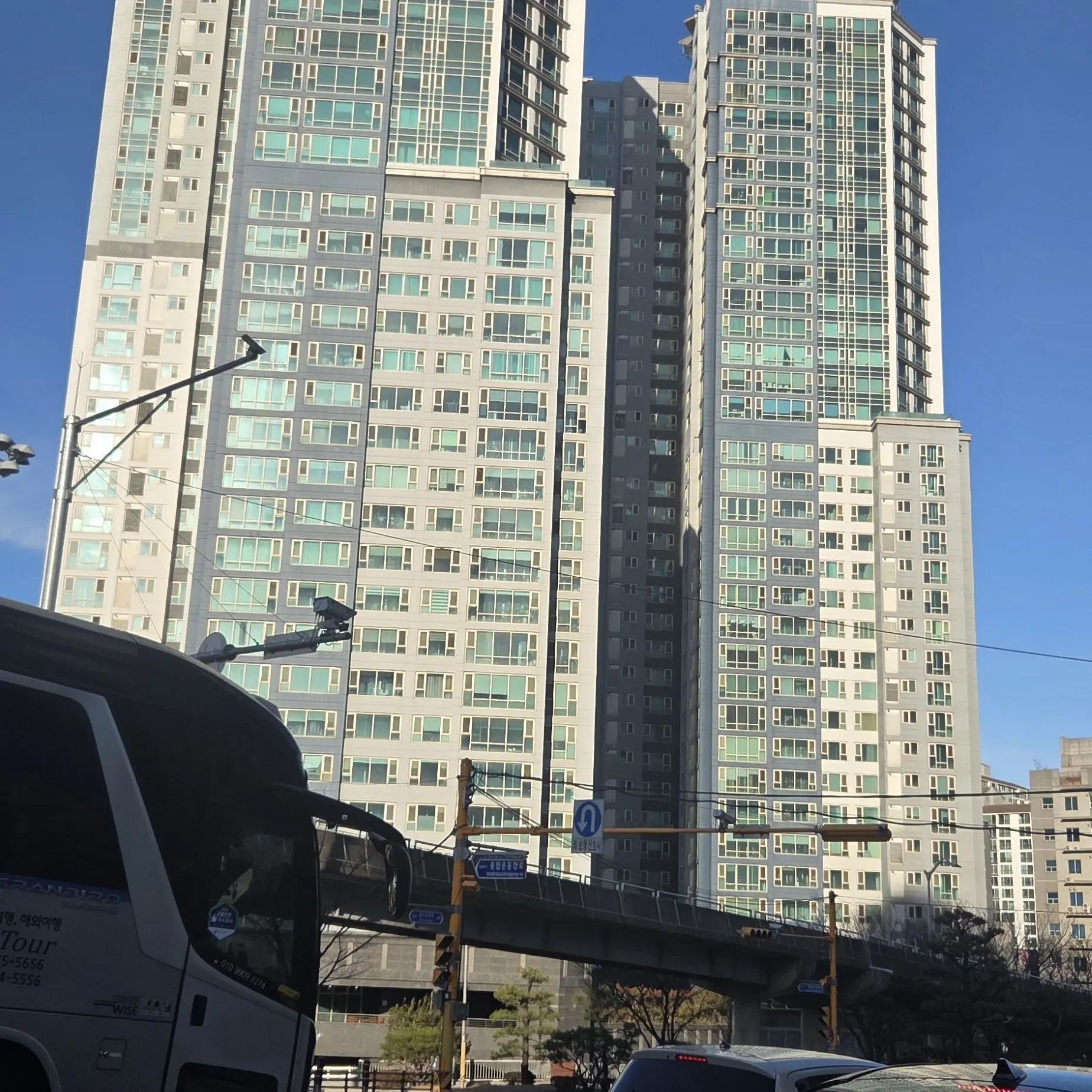 MatureMedal5761의 뜰팁 미연시-초여세 유저 학생편