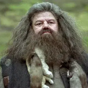 Profile image of Hagrid