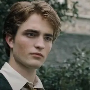 PaleRock1073의 Harry Potter: The goblet of fire