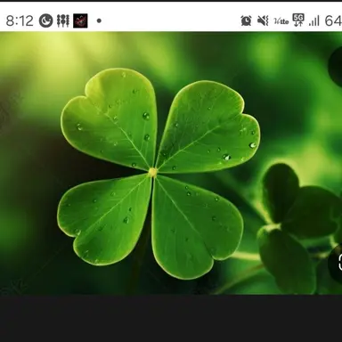 Profile image of 플라잉핵