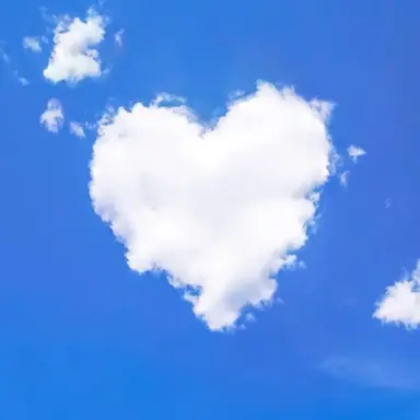 Profile image of 윈터