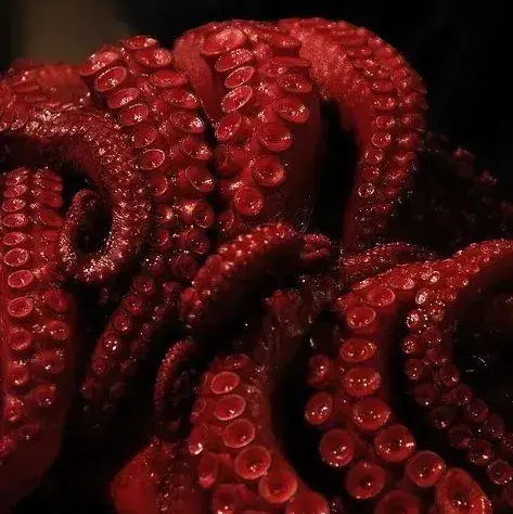 GustyHand6296의 Vexapod