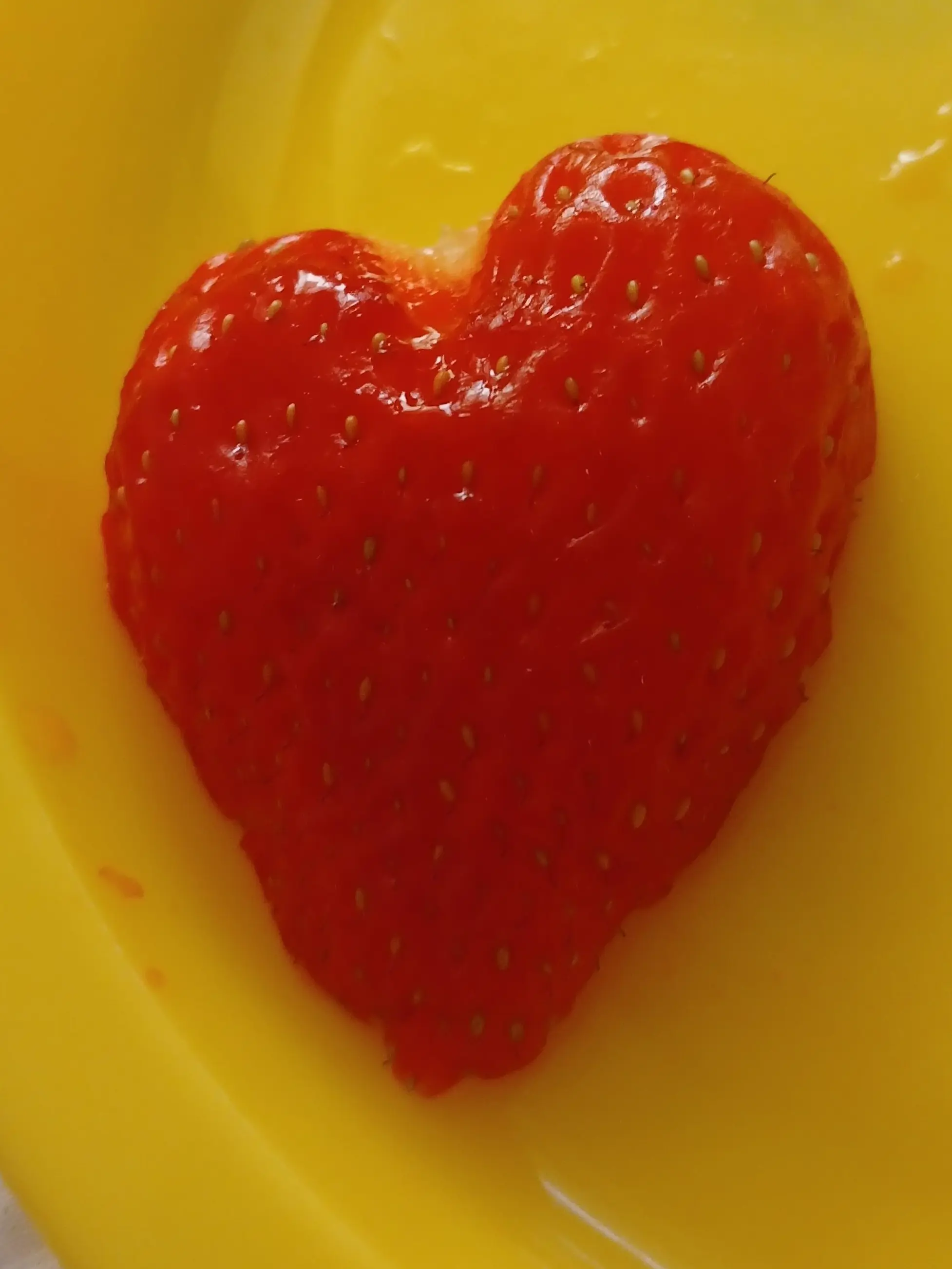 TautHead1360의 나를 반하게 하려는 전학생