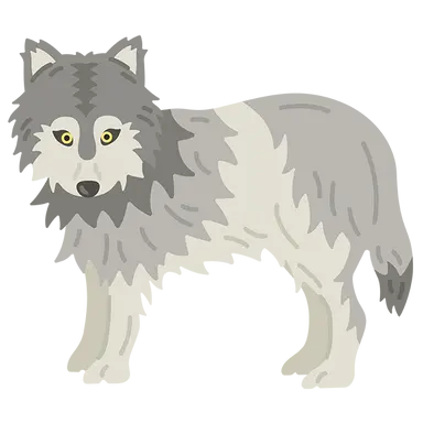 Profile image of 狼