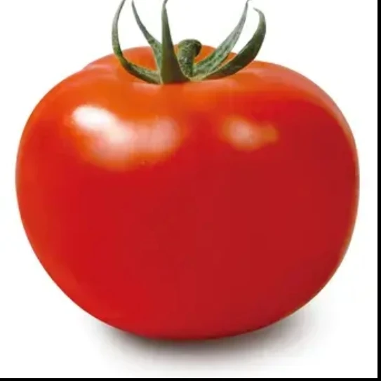 토메로