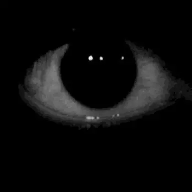 Profile image of Zachary