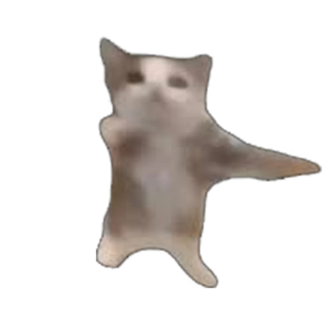 해피캣