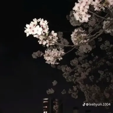 Profile image of HDM