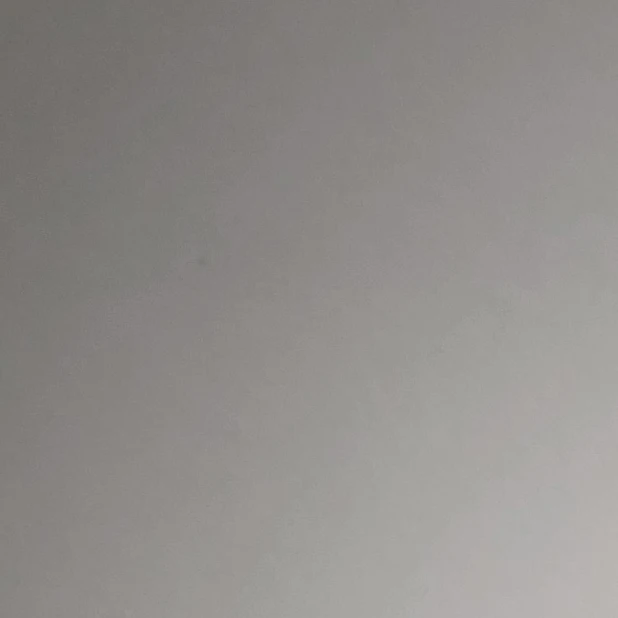 푸룬주스맛 쿠키