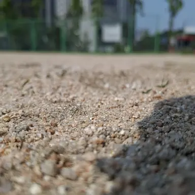 Profile image of 도리