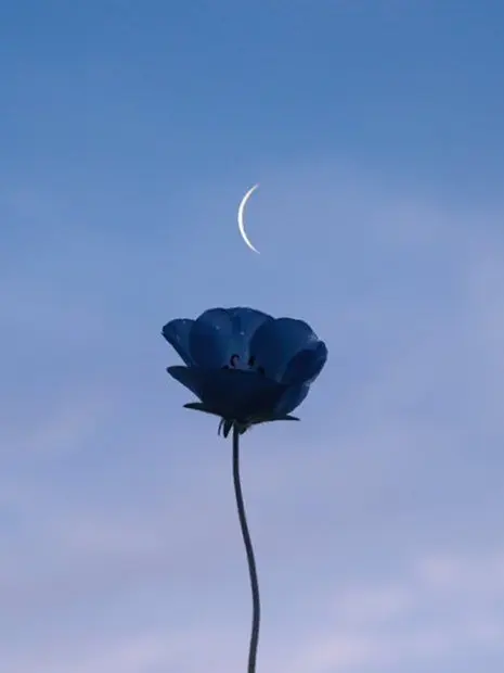 Kairaa__san의 どしたん、話聞こか？