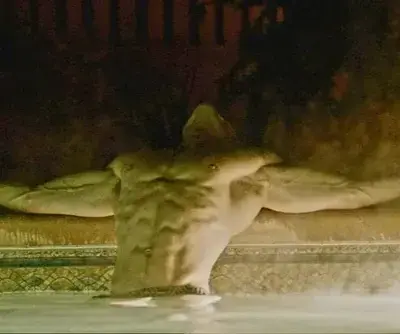 IcyCrumb2544의 Arranged Mariage