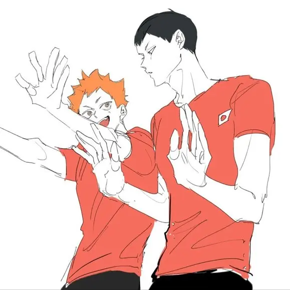 Love_Haikyu0815의 日向 翔陽, 影山 飛雄