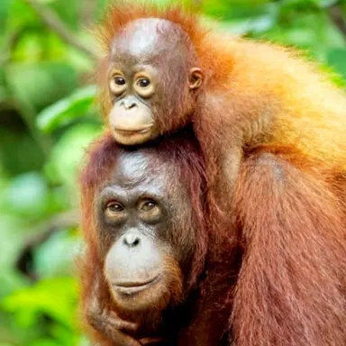 Profile image of 귀여우