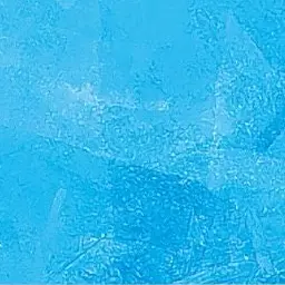 Profile image of 알로하