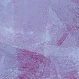 Profile image of 료가