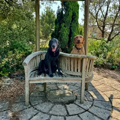 Profile image of 톰 펠튼