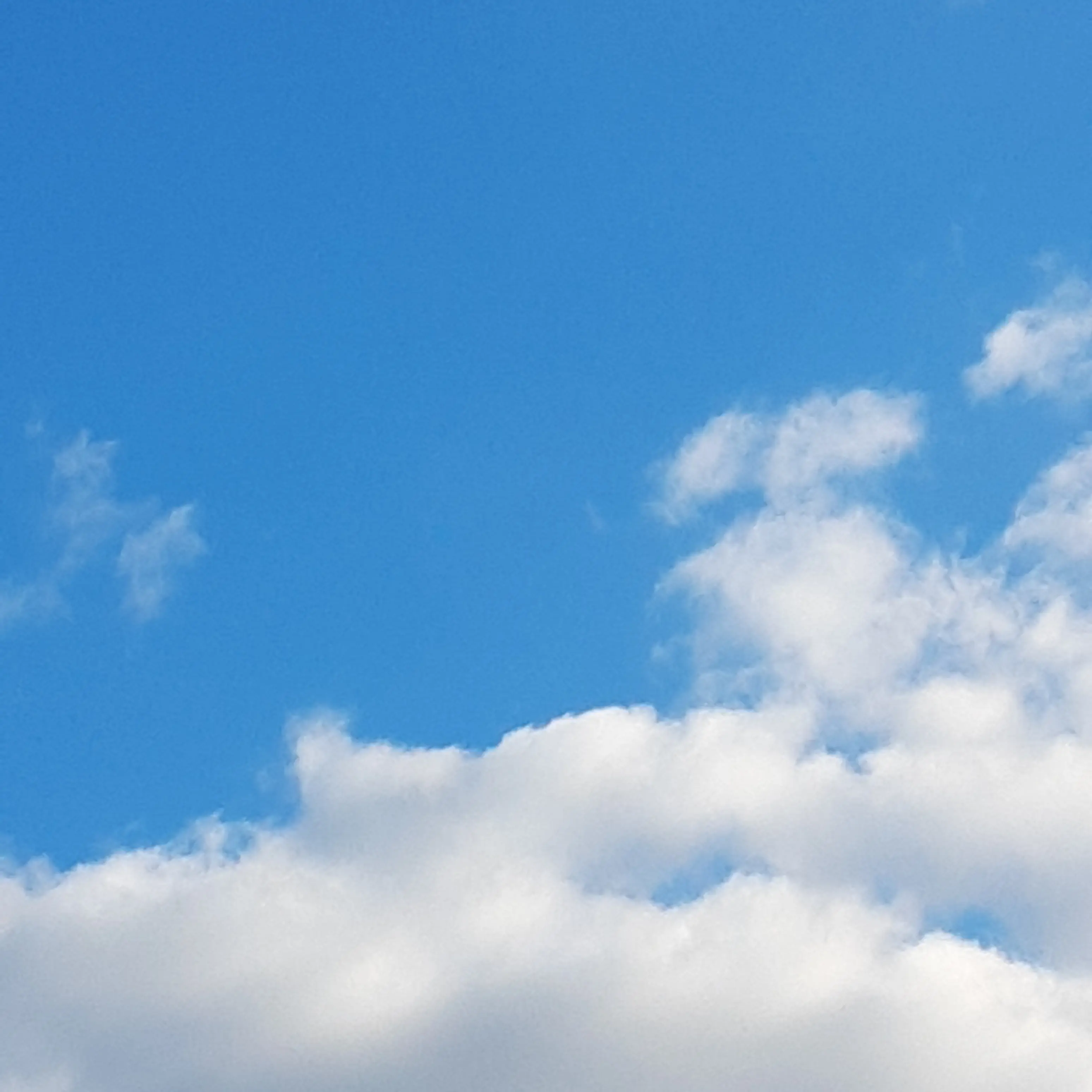 WryDebit0449의 吹奏楽、一緒に過ごせる最後の夏