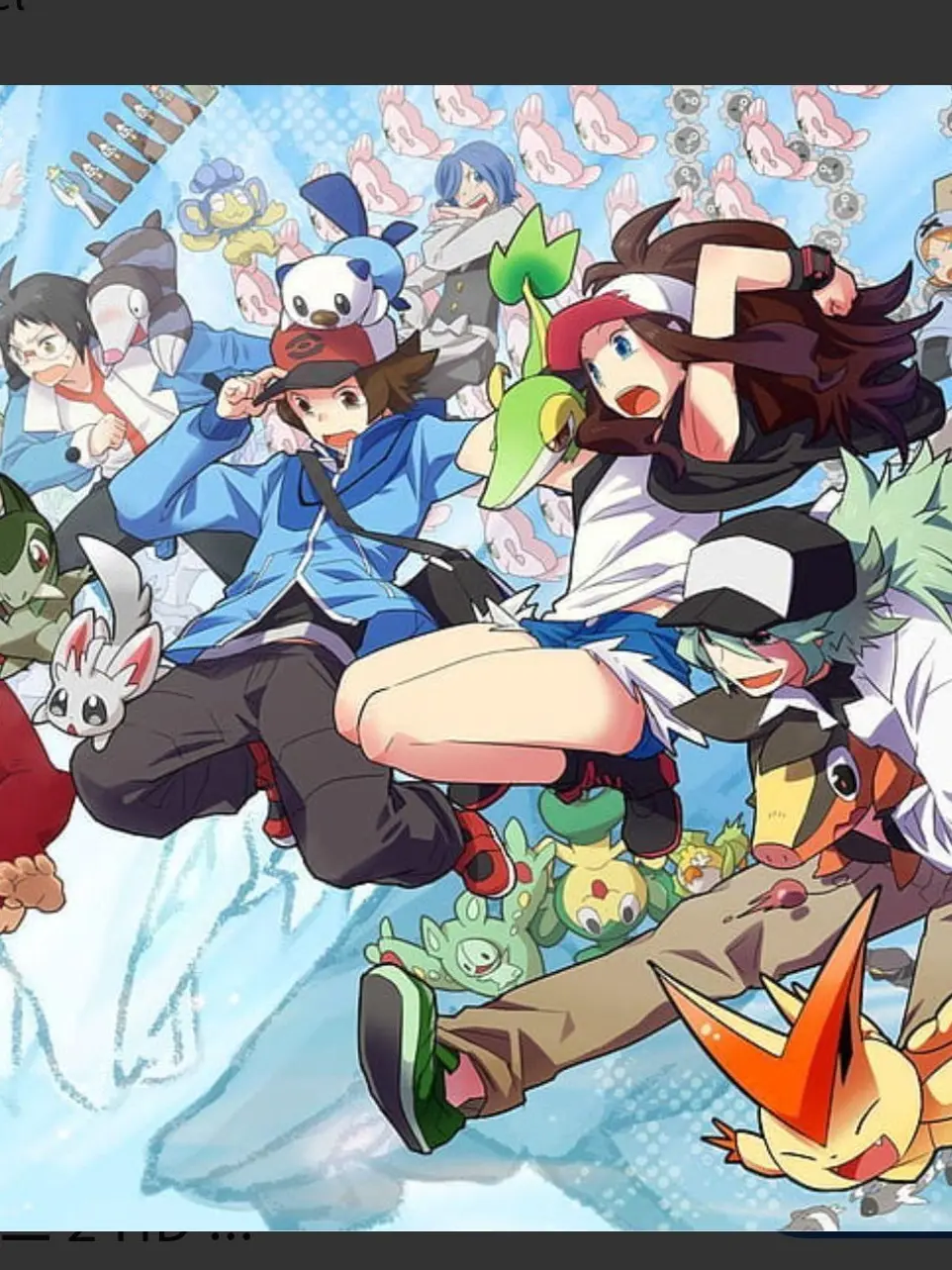 Cat158851의 포켓몬스터 BW