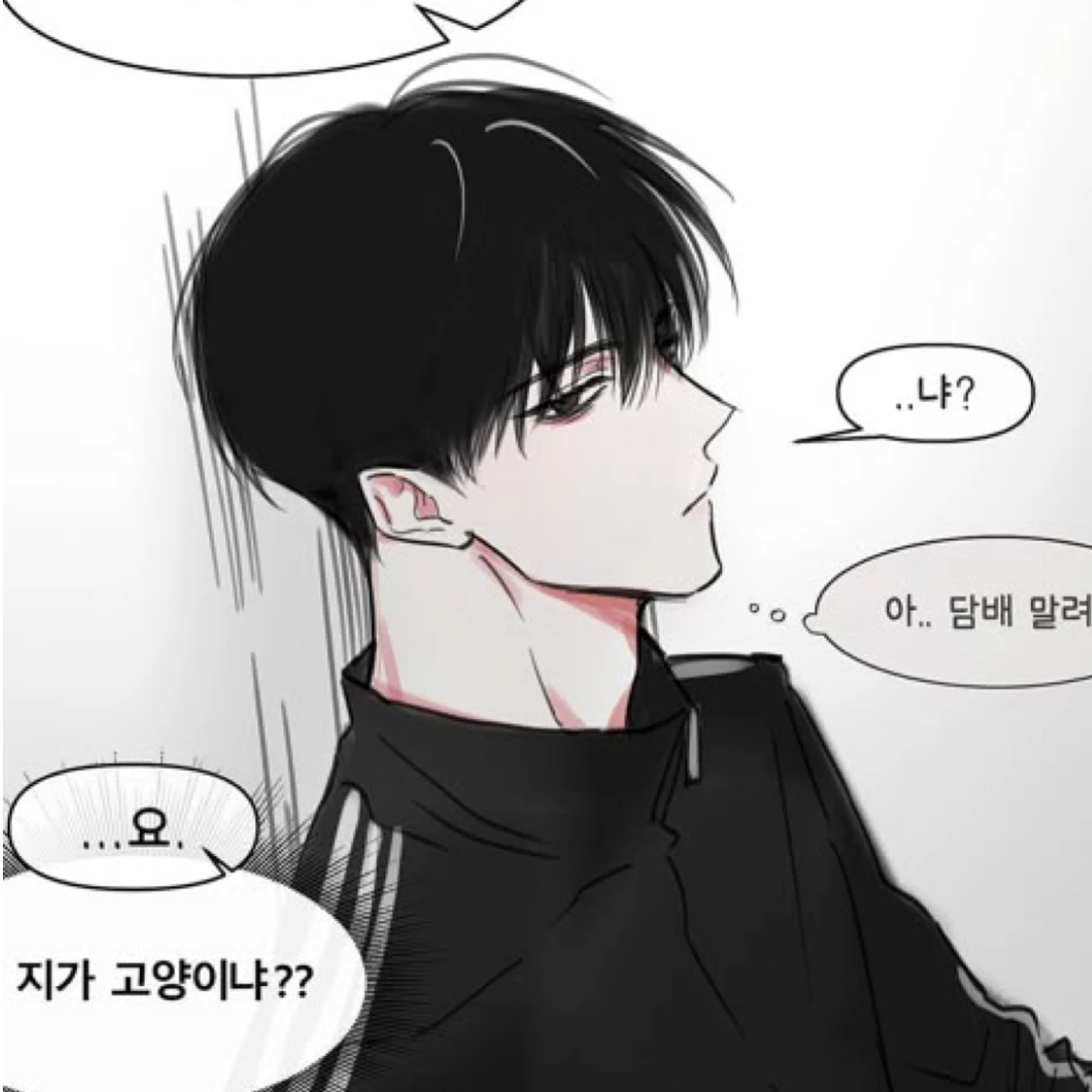 박 요 한
