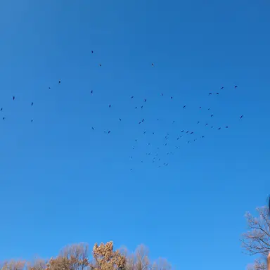 Profile image of 아트풀