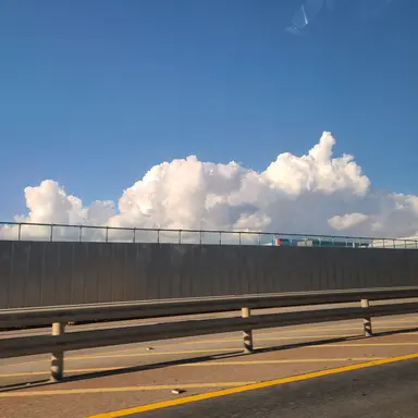 Profile image of 일엑스