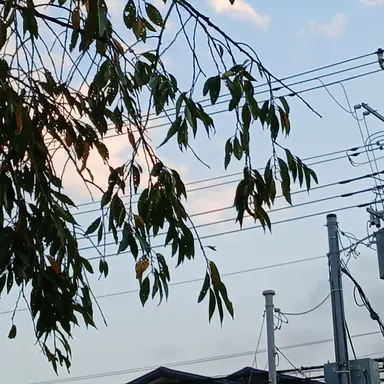 Profile image of イサン