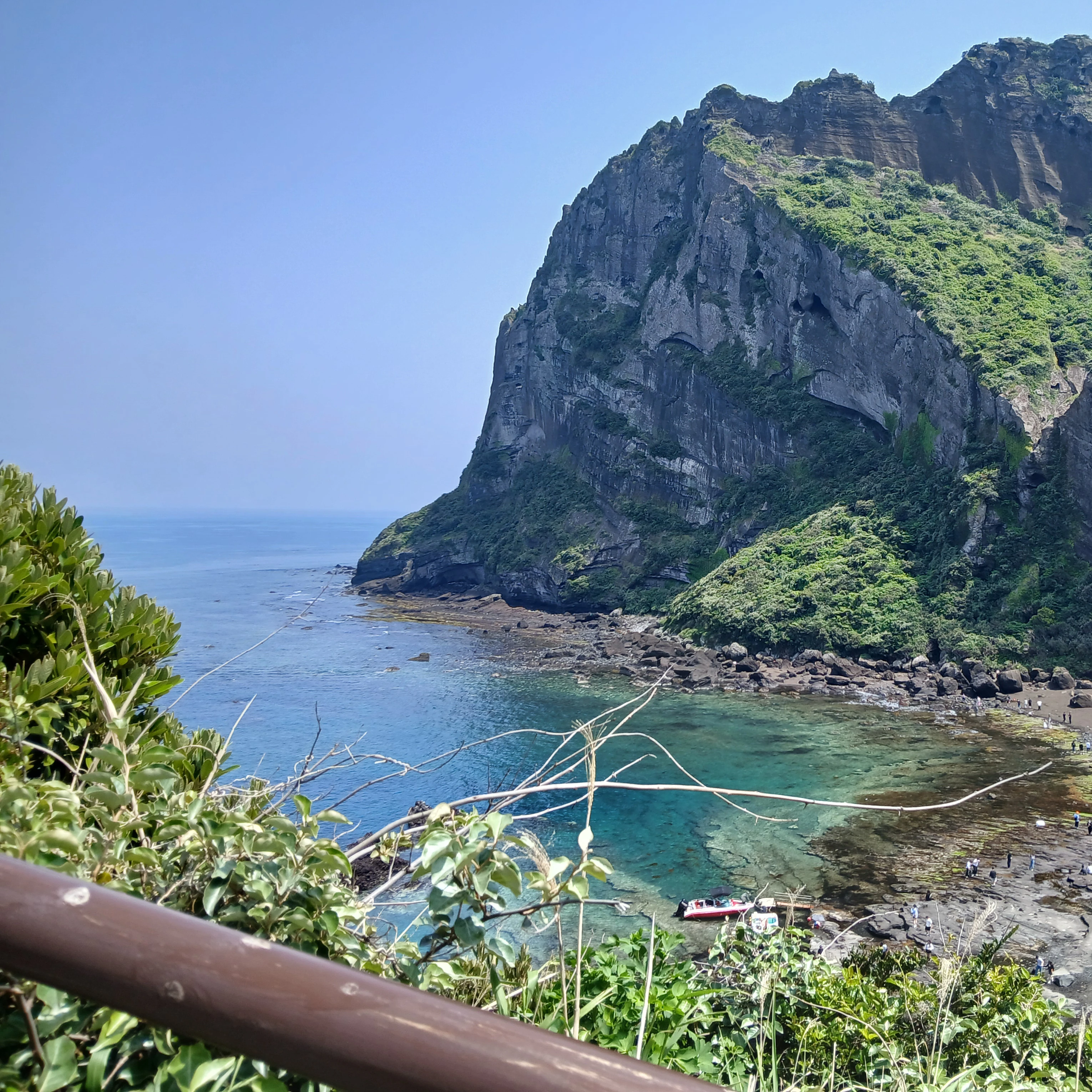 보넥도