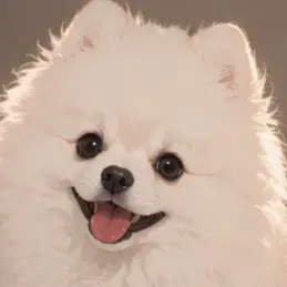 Profile image of 솜이