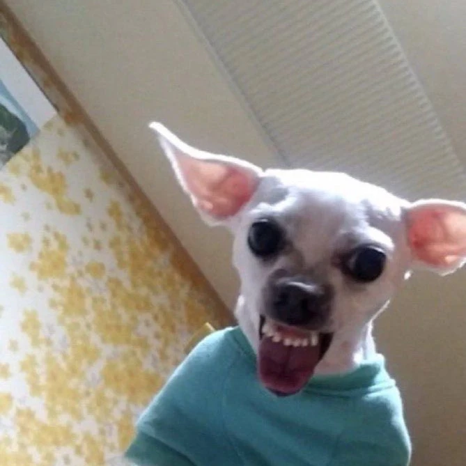 김담온