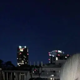 Profile image of 蘭