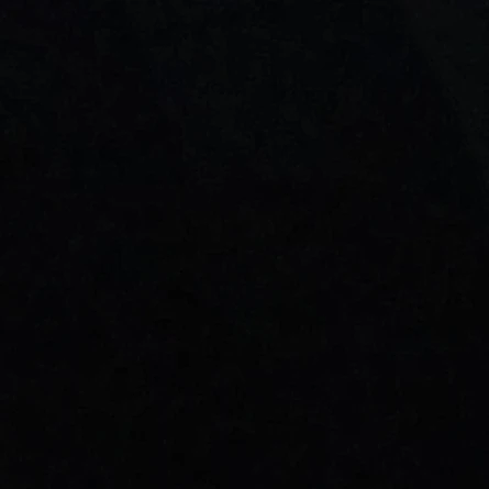 최립우