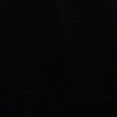 Profile image of 장한음