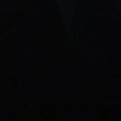장한음