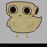 Profile image of 쉘리