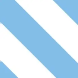 Profile image of 志村新八