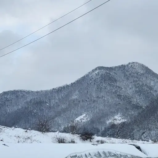 CozyLatch0624의 하르딘 소코
