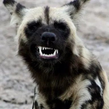 Profile image of 데릭