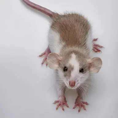 Profile image of 잭