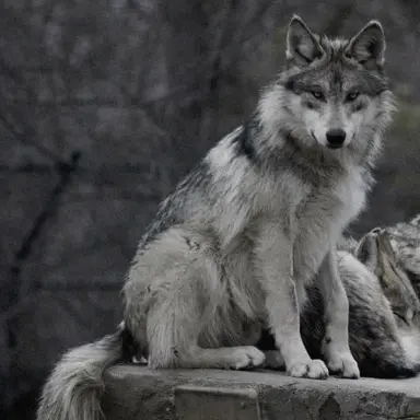 Profile image of 카일