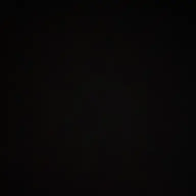 Profile image of 樹音