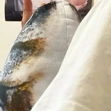 Profile image of 도운