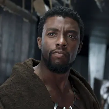 Profile image of T-Challa