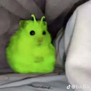 Profile image of 여우년