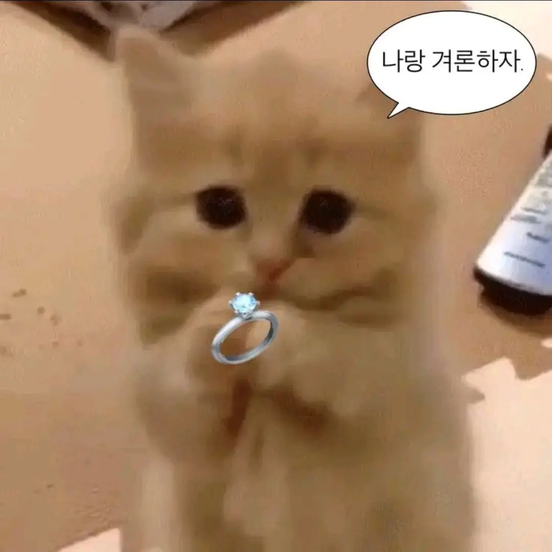 WindyTrill9776의 여우년이 꼬리친다!