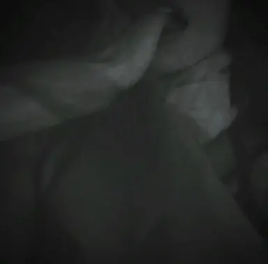 Profile image of Ivan