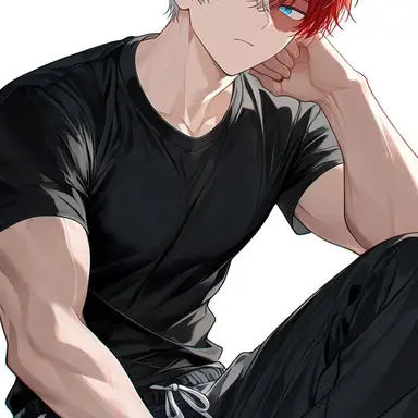 Profile image of Shoto todoroki